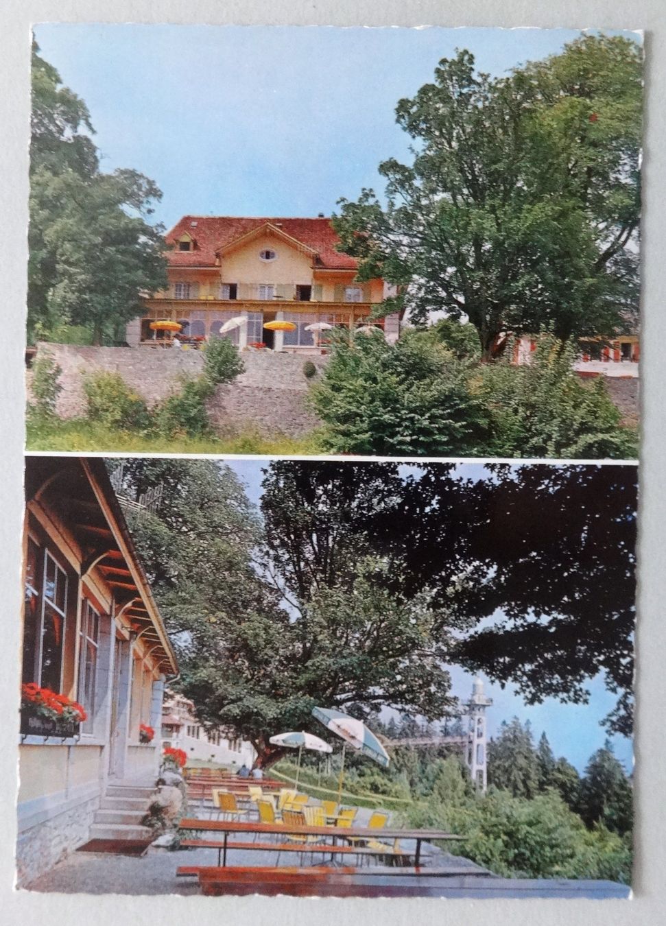 Cartoline postali: Chaumont s/Neuchâtel, Rest. "Petit Hôtel" – Usato da Fétigny venduto da Billy2miny
