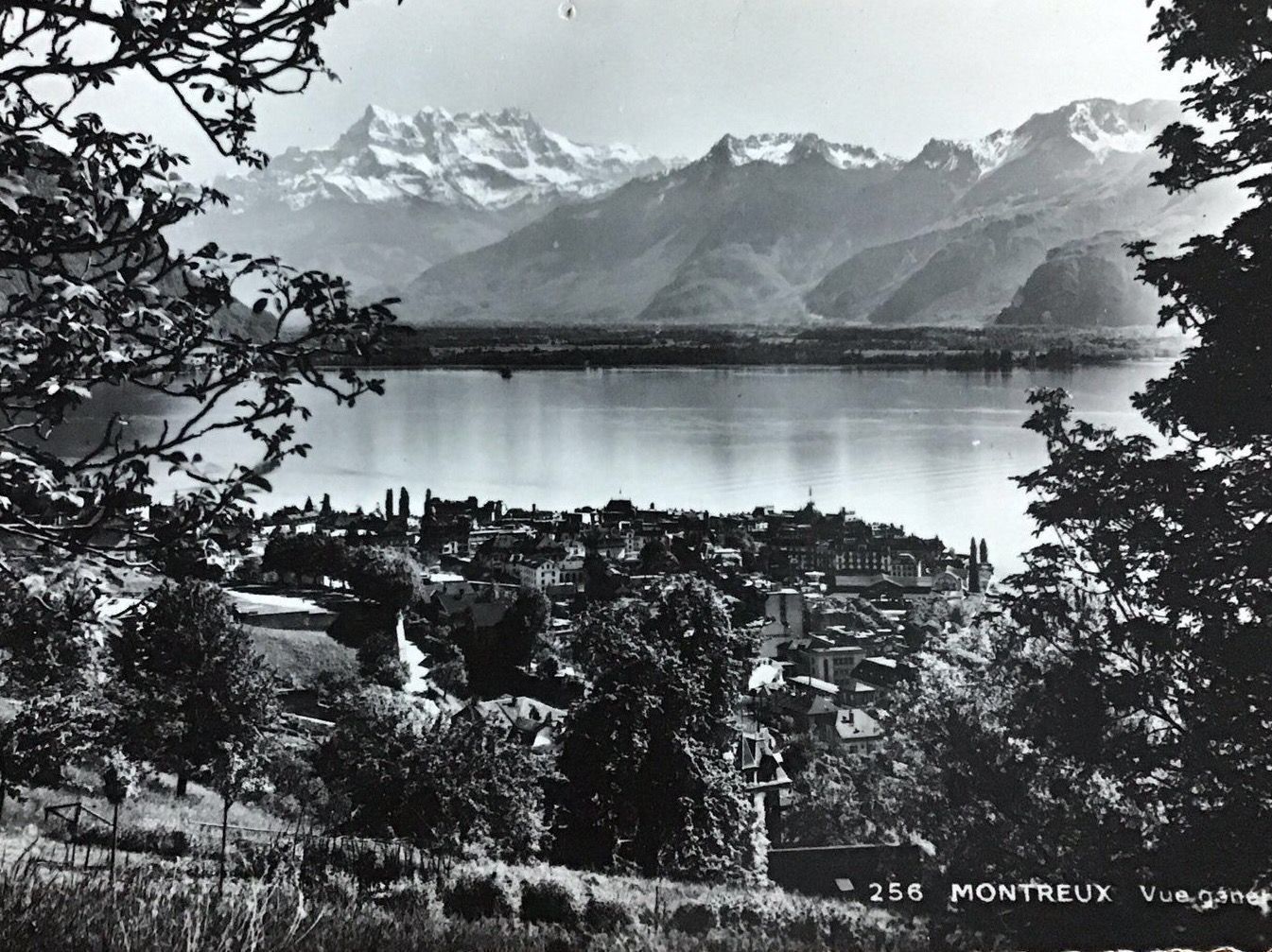 Cartoline postali: Ansichtskarte MONTREUX – Nuovo (secondo la descrizione) da Thierachern venduto da sweden08
