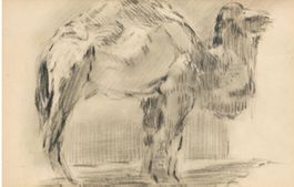Rembrandt Bugatti Dromedar 15 x 24 cm Kohle / Papier