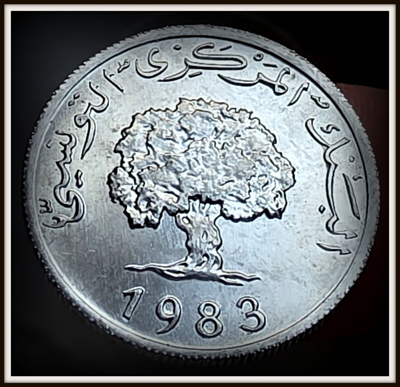 Tutti le monete: TUNESIEN 5 MILLIEMES 1983 – Usato da Winterthur venduto da Creso70