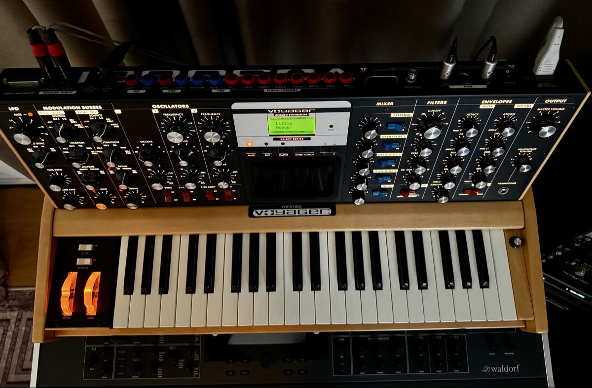Moog Strumenti musicali: Moog Voyager - Solar Maple - Select Series - Synthesizer – Usato da Zürich venduto da 1cut2 3