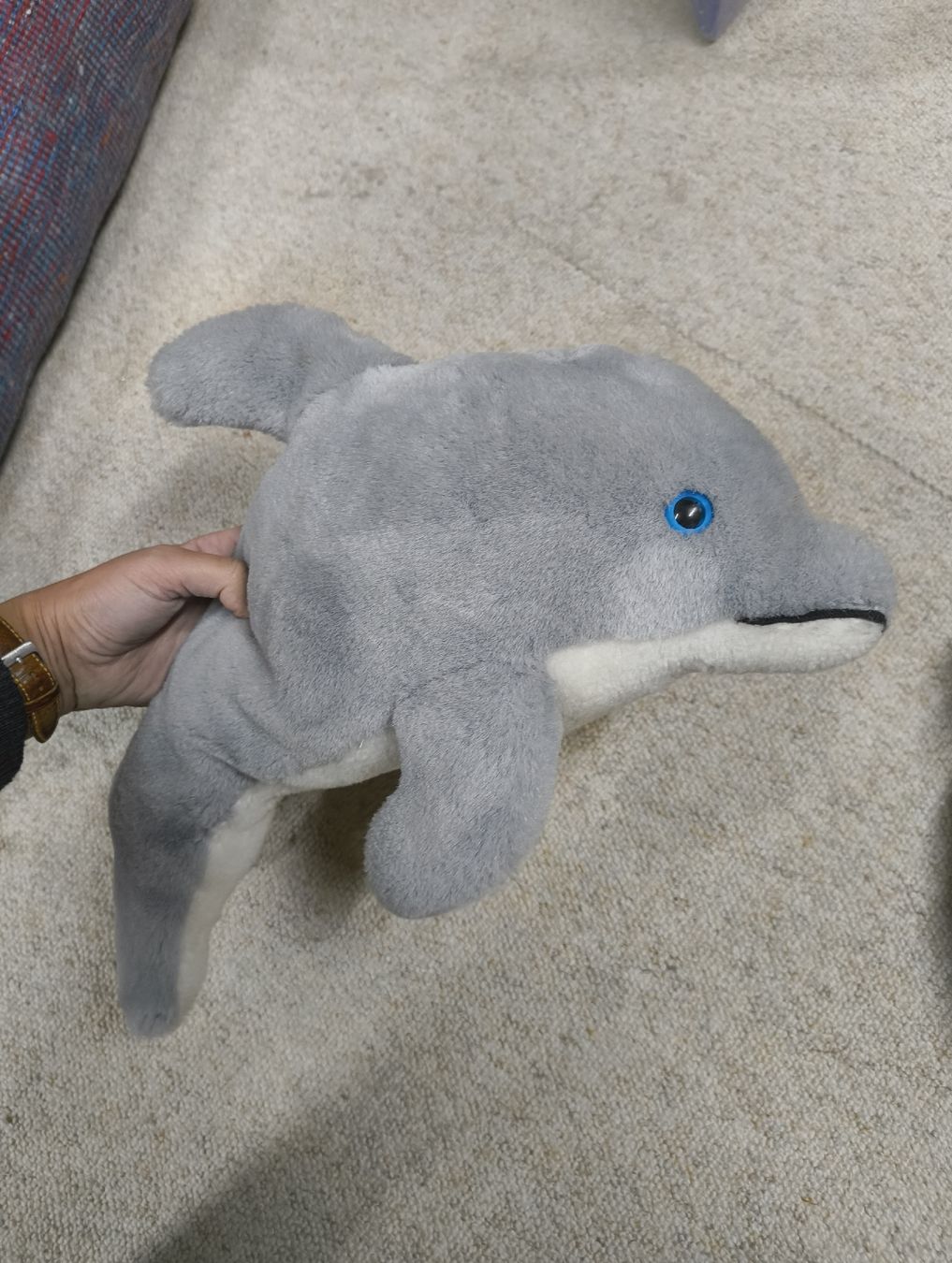 Spielzeuge: Delfin Plüschtier – Gebraucht aus Zürich von maz_jj2t