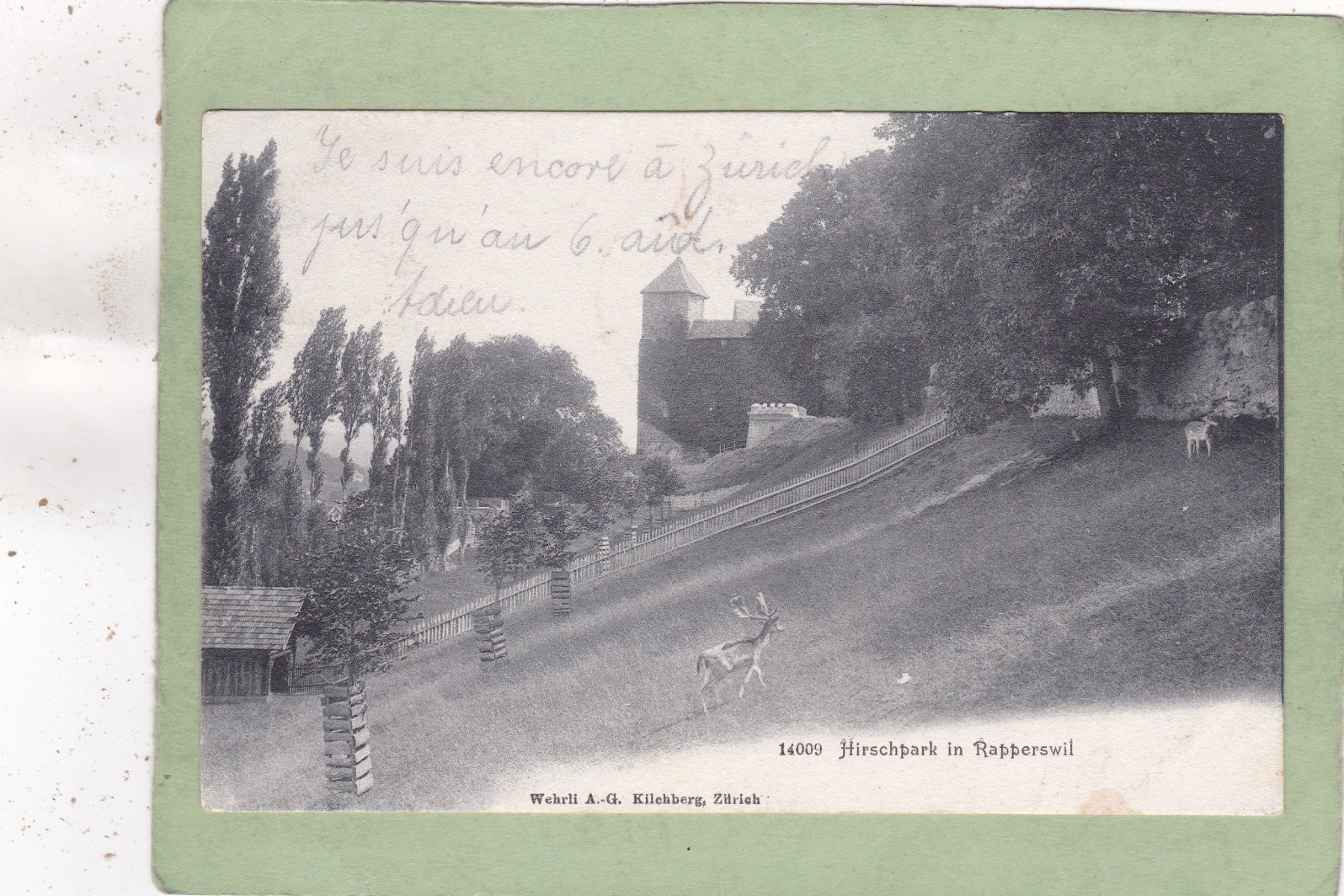 Ansichtskarten: Hirschpark in Rapperswil – Gebraucht aus Herisau von Lisegrat2008