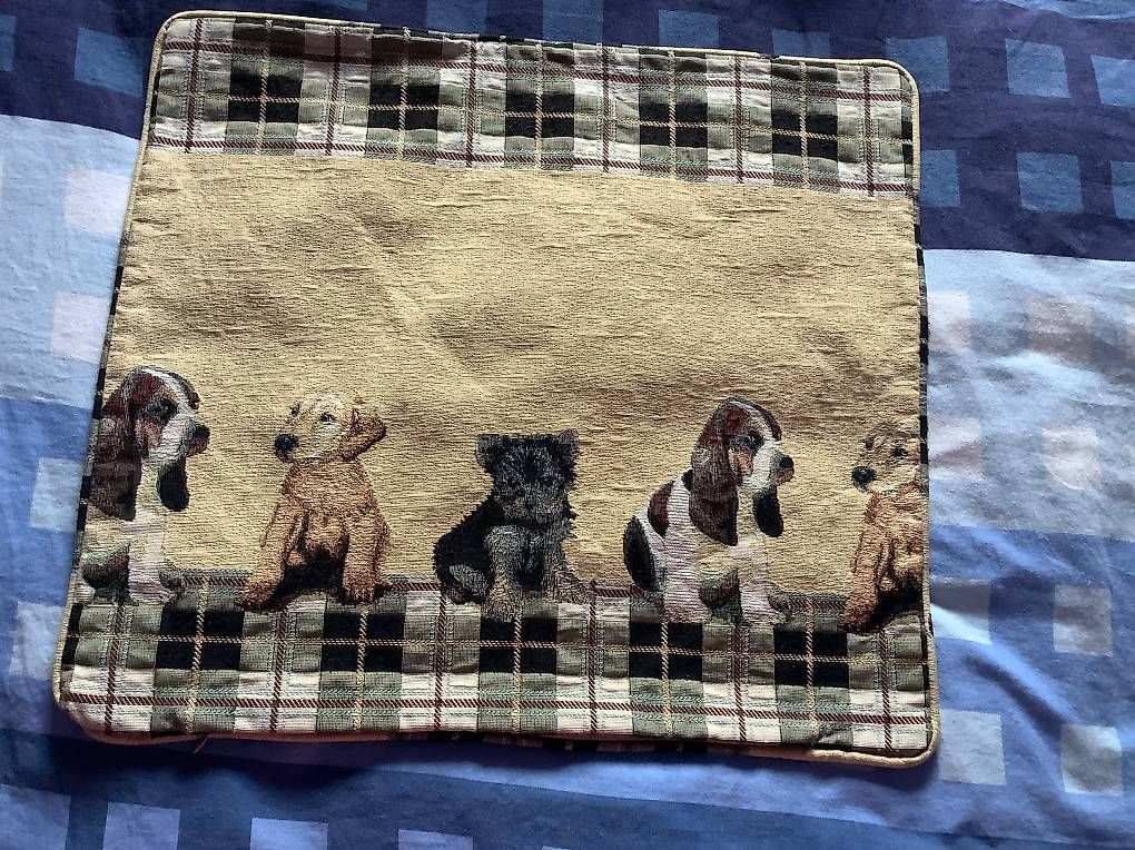 Cuscini: Fourre décorative pour coussin - Qualité de "Schilliger" – Usato da Le Lignon venduto da Gwen77 1