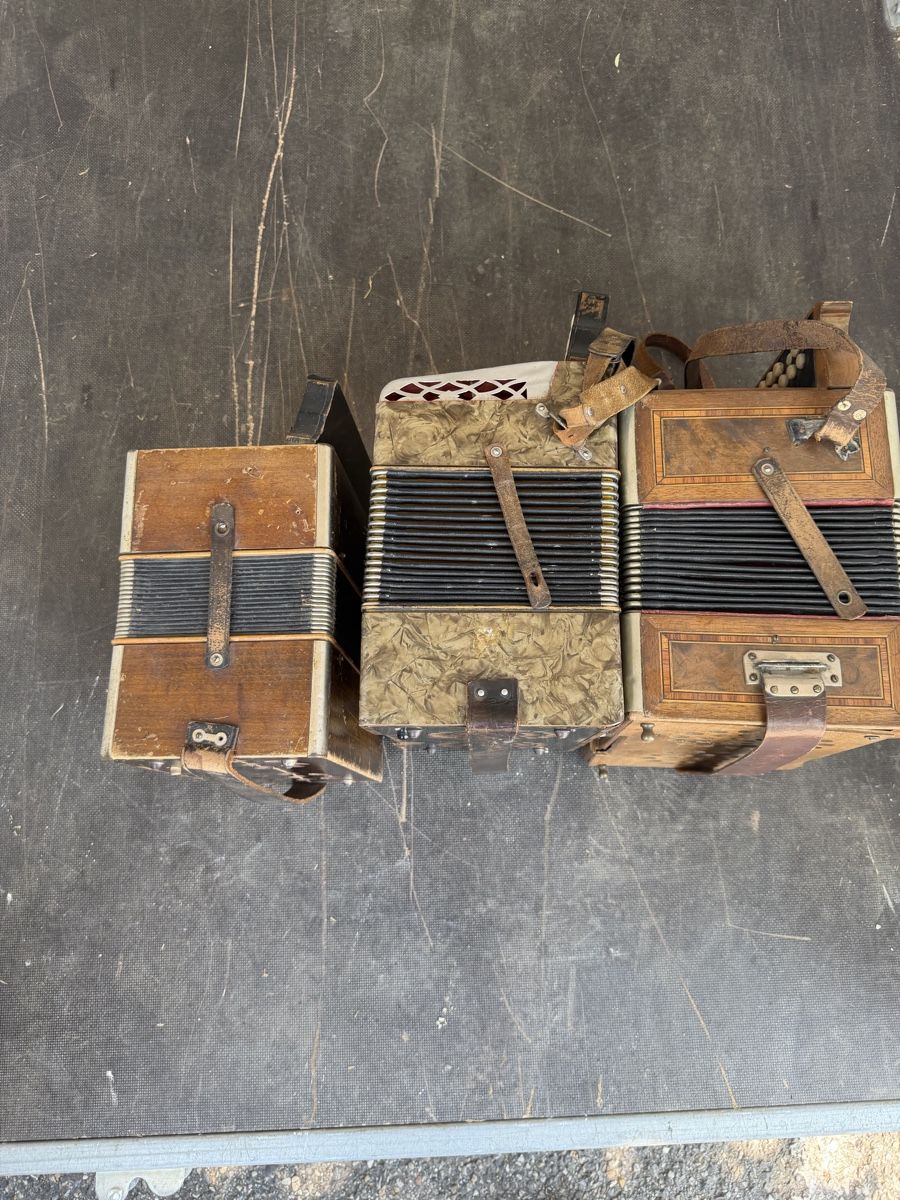 Hohner Musikinstrumente: Hohner  – Gebraucht aus Muhen von MiGeiss64 6