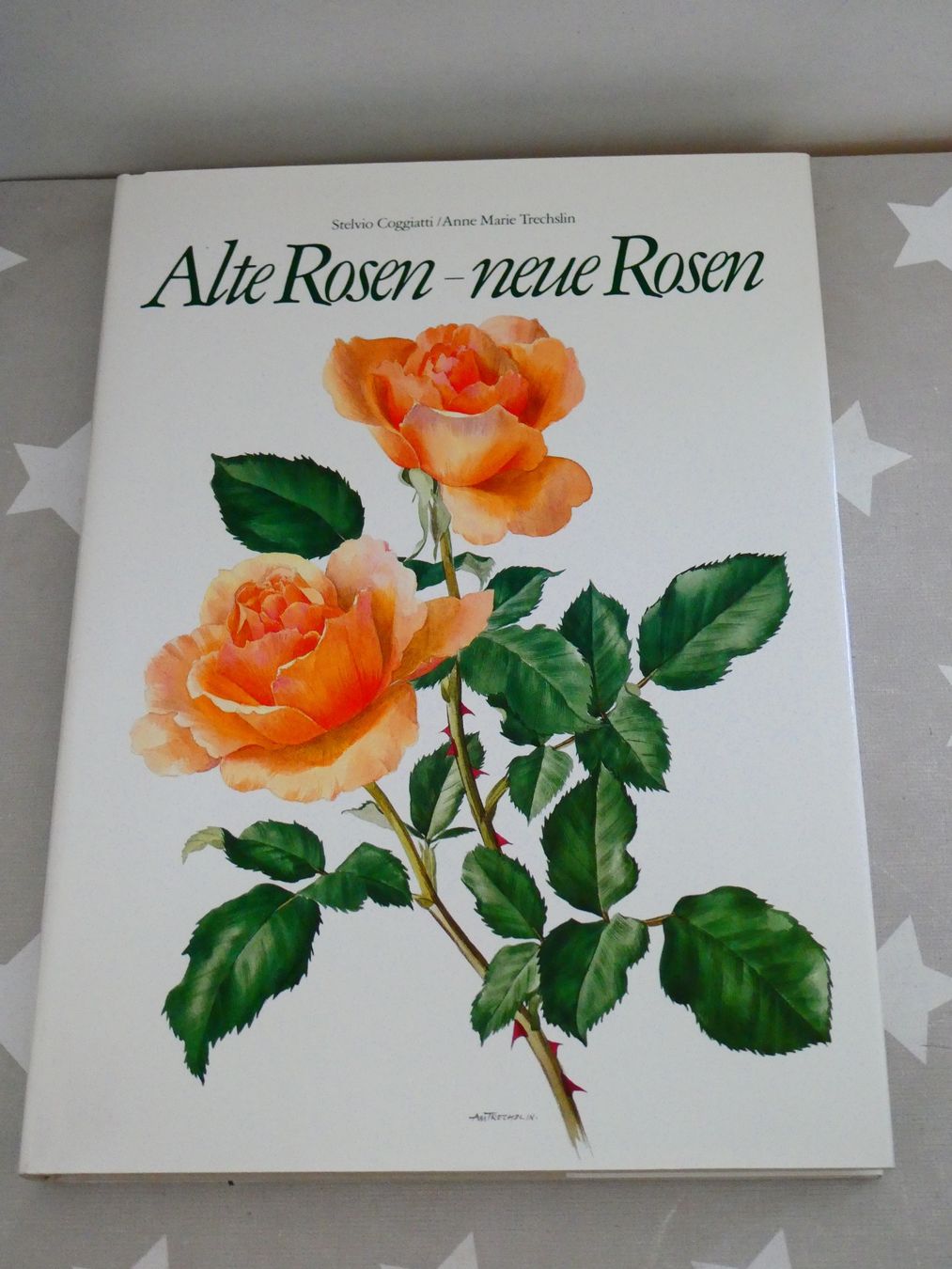 Libri: Buch: Alte Rosen - neue Rosen – Usato da Rafz venduto da Powacaddy
