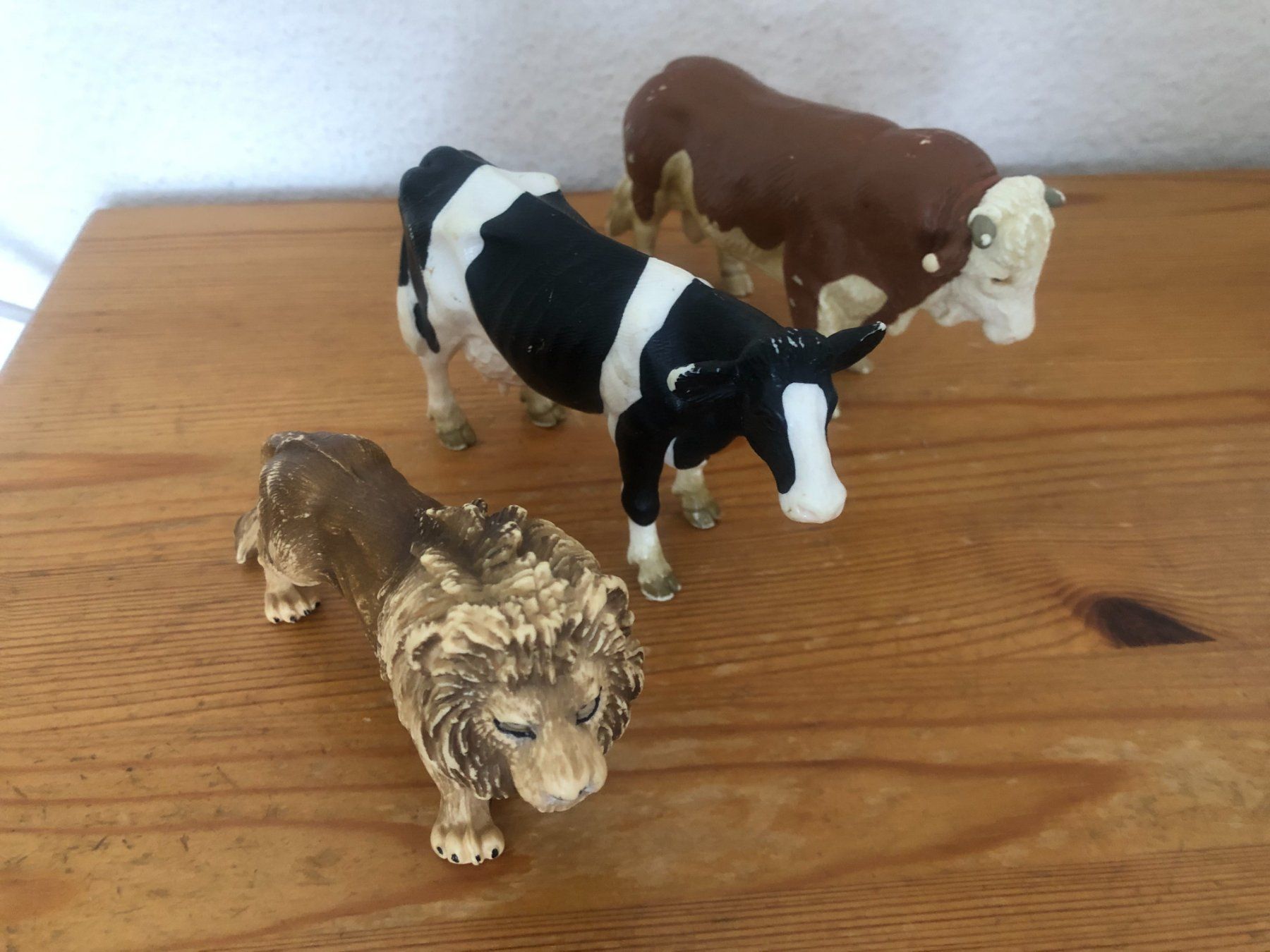 Schleich Giocattoli: Schleich Wild Life Abenteuerstation – Usato da Bassersdorf venduto da sammelfloh 9