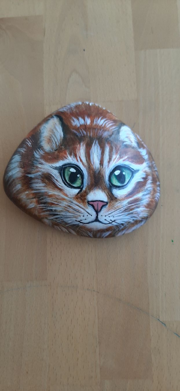 Mineralien & Heilsteine: Stein Katze – Neu (gemäss Beschreibung) aus Affoltern am Albis von Fossil60 3