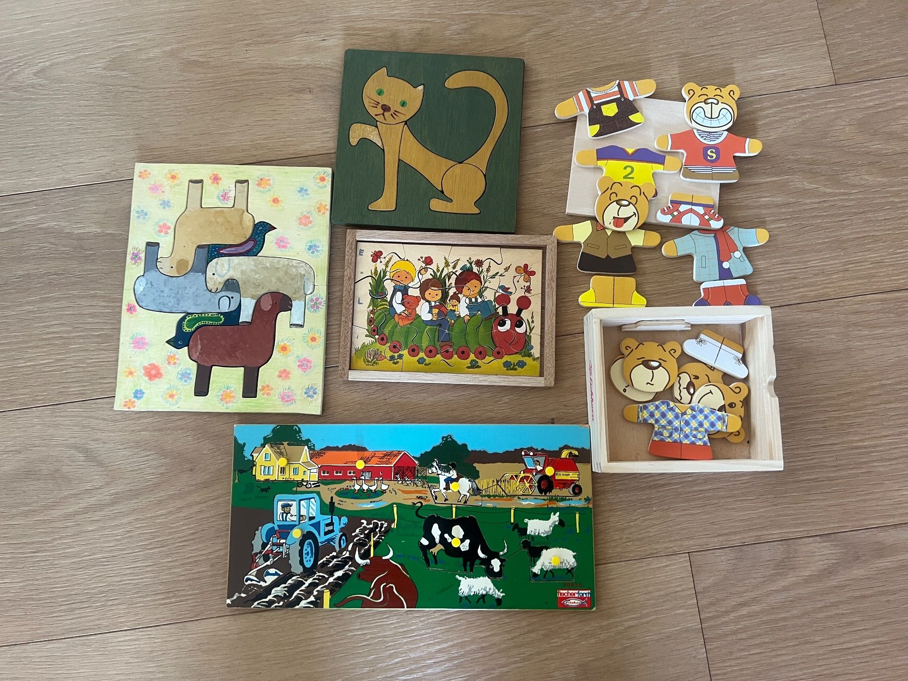 Eichhorn Puzzles: 5 Holzpuzzles – Gebraucht aus Wittenbach von abenlo