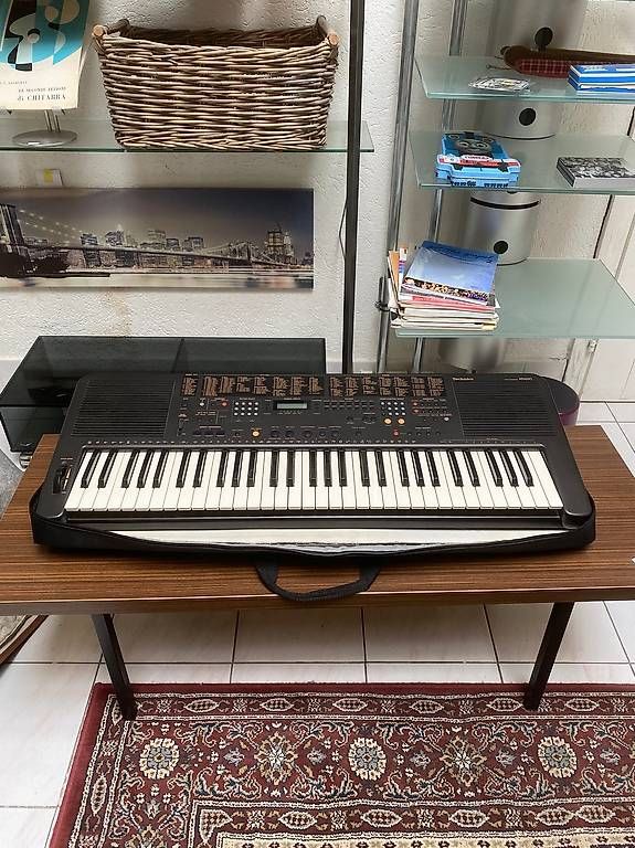 Technics Strumenti musicali: Keyboard Technics SX-KN650 – Usato da Neuhausen am Rheinfall venduto da galleria13