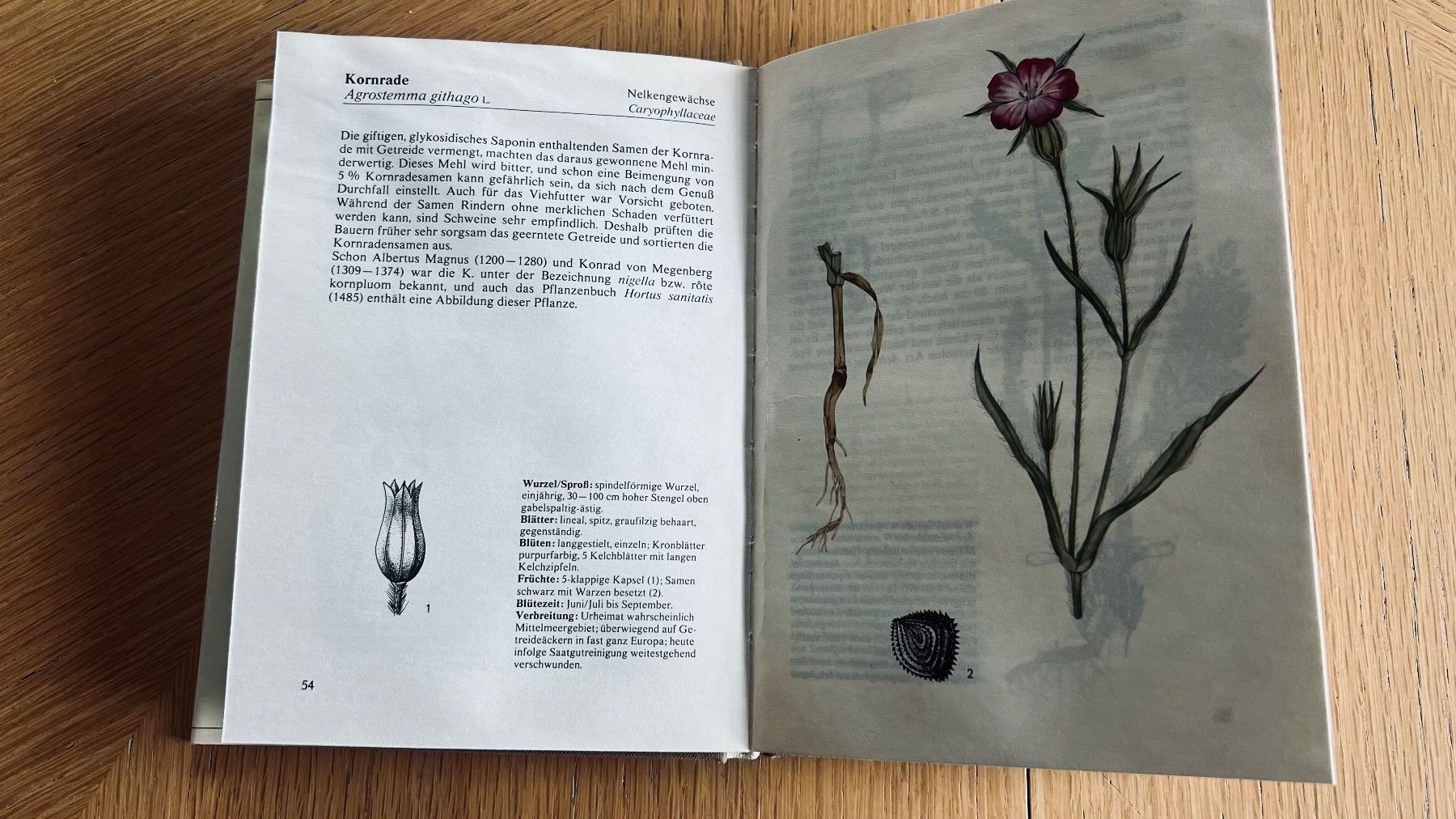 Libri: Pflanzenbuch: Wald und Flur entdecken , 1980 – Usato da Schübelbach venduto da Bemafaja 2