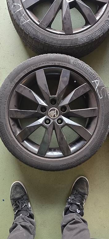 Cerchioni: Cerchi originali Skoda – Usato da Vacallo venduto da SirioDH999 3