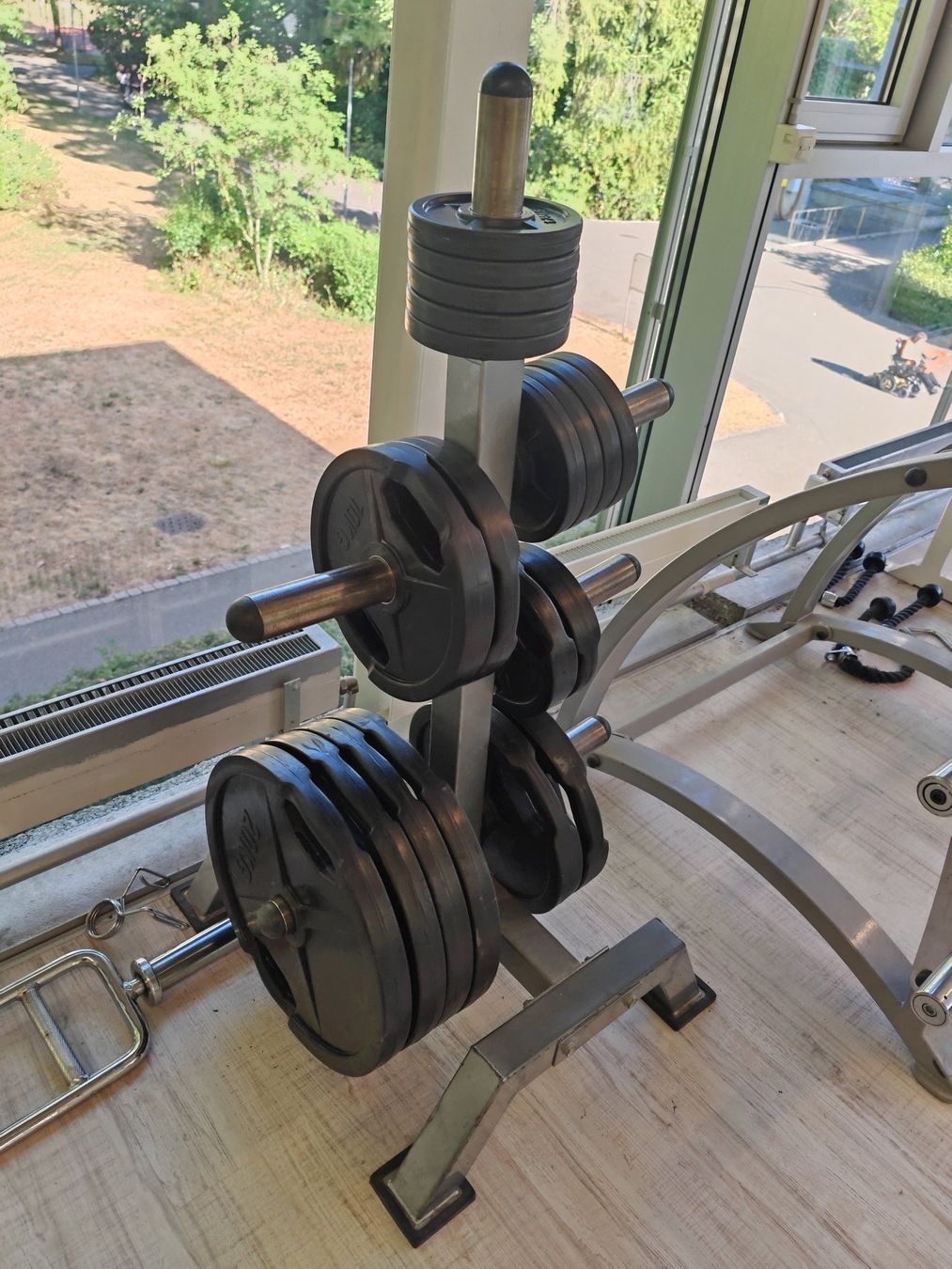 Manubri & Pesi: Bench Press + Hantelscheiben mit Hantelscheibenständer – Usato da Bern venduto da Sudowudo 1