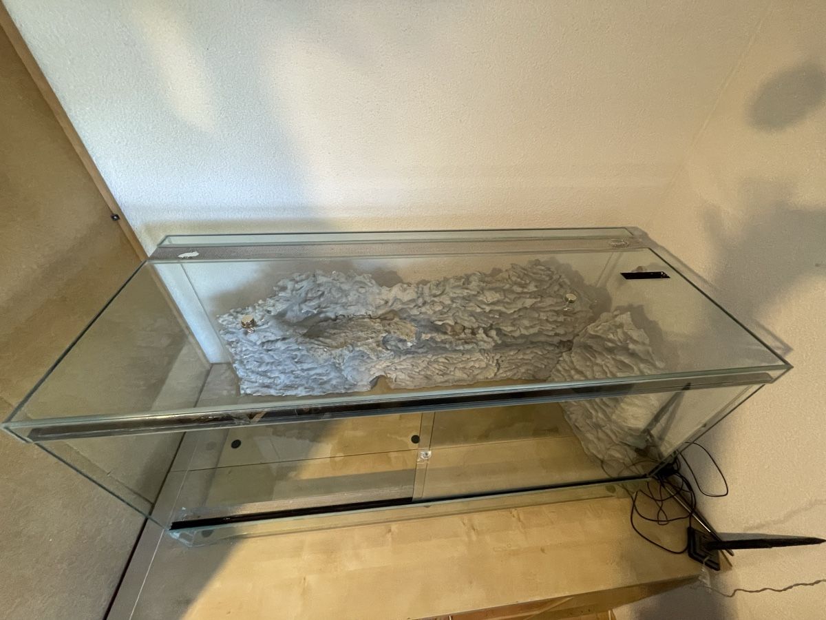 Terrario: Terrarium 120x50x60cm – Usato da Buttwil venduto da iri_s 2