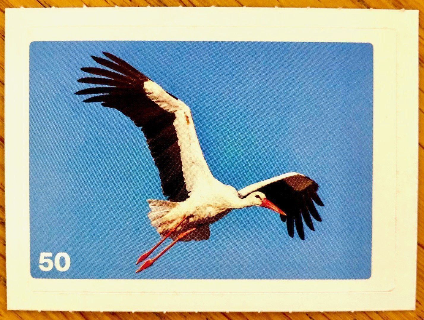 Migros Sammelbilder & Trading cards: Migros Nature Detectives - Bild Nr. 50 – Neu (gemäss Beschreibung) aus Oberrieden von Zimmerberg10