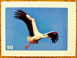 Migros Nature Detectives - Bild Nr. 50
