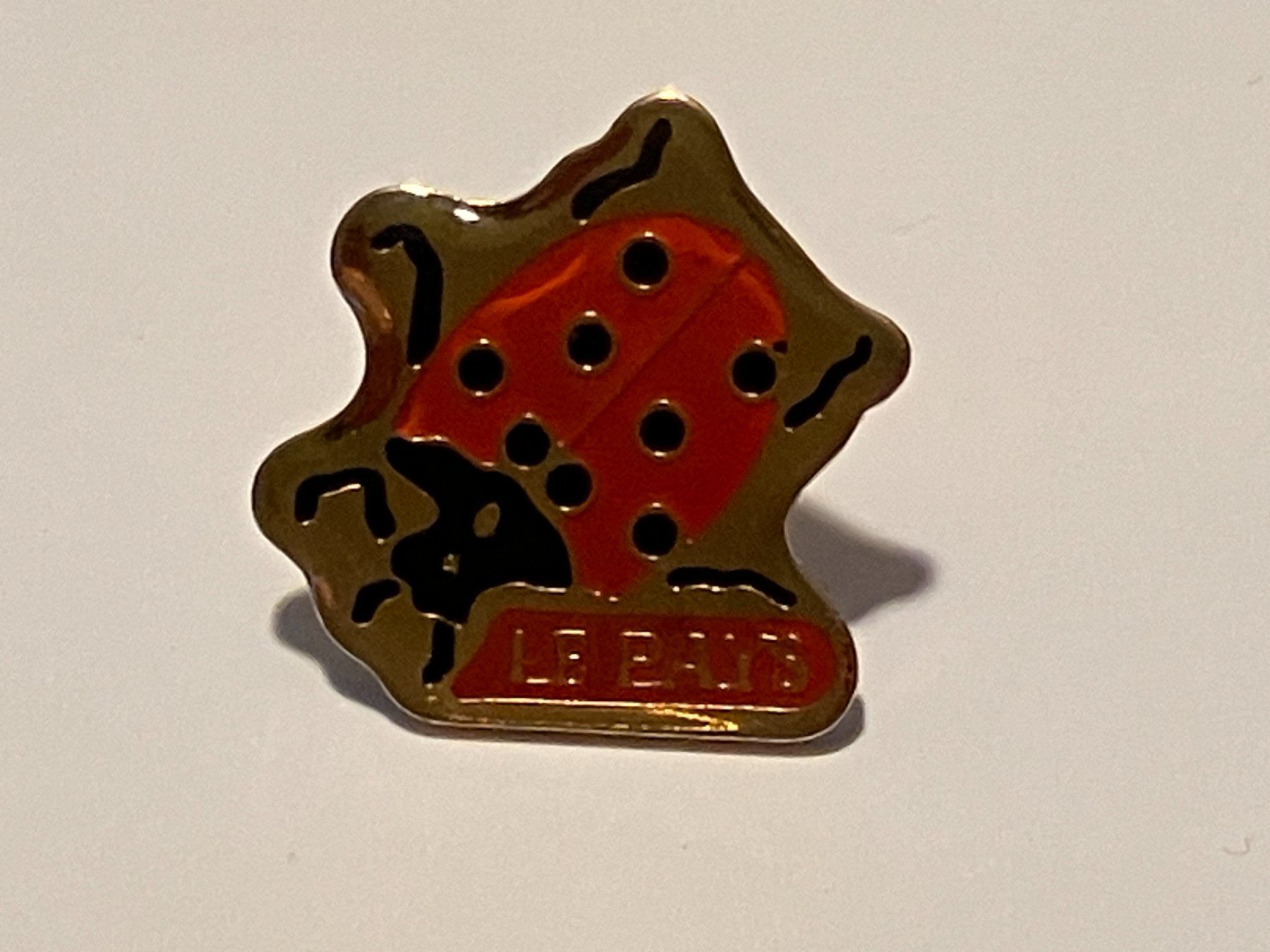 Placchette & Badge: 1 Pin Le Pays – Usato da Basel venduto da djwwpp