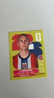 Carte panini 2026 - NOR 4