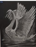 The Swan – Original Pastellzeichnung 50 × 70 cm – Schwan
