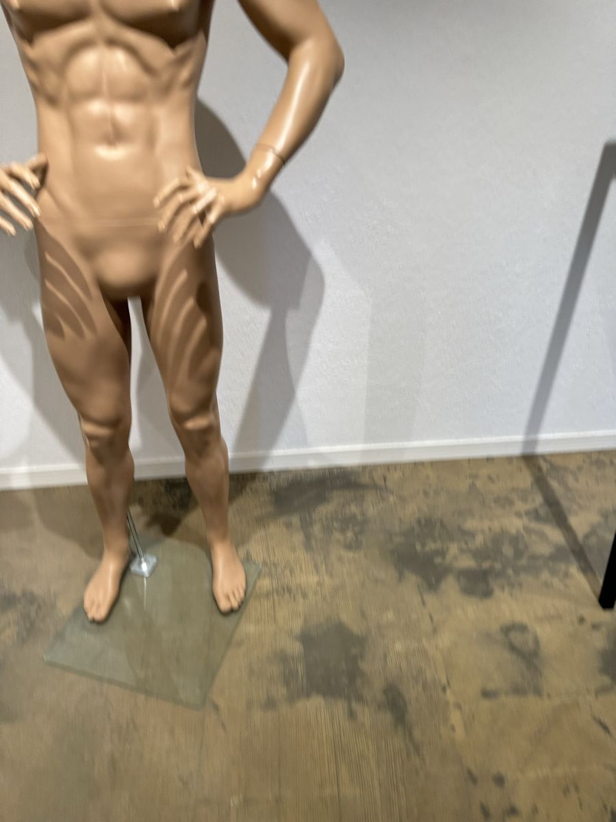 Altro in Decorazioni & Accessori: Original Adel Rootstein Schaufensterpuppe – Usato da Thalwil venduto da mic_87cm 4