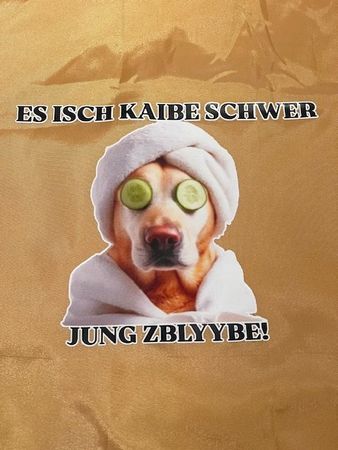 Falttasche 'ES ISCH KAIBE SCHWER JUNG ZBLYYBE!'