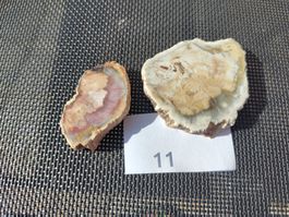 3 Stk Versteinerte Holzscheiben Sammlerstück Set 11
