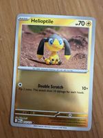 Helioptile (MEG052)