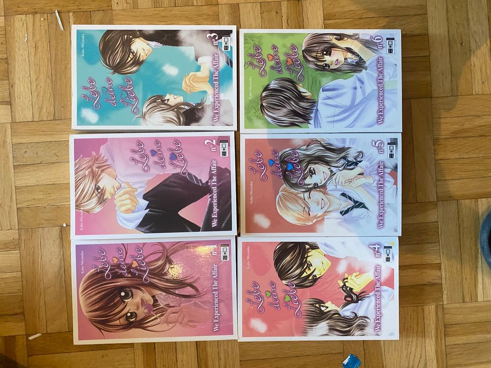 Fumetti: Manga lebe deine Liebe we Experienced the Affairs nr 1-6 – Usato da Wittenbach venduto da dan_9tkk