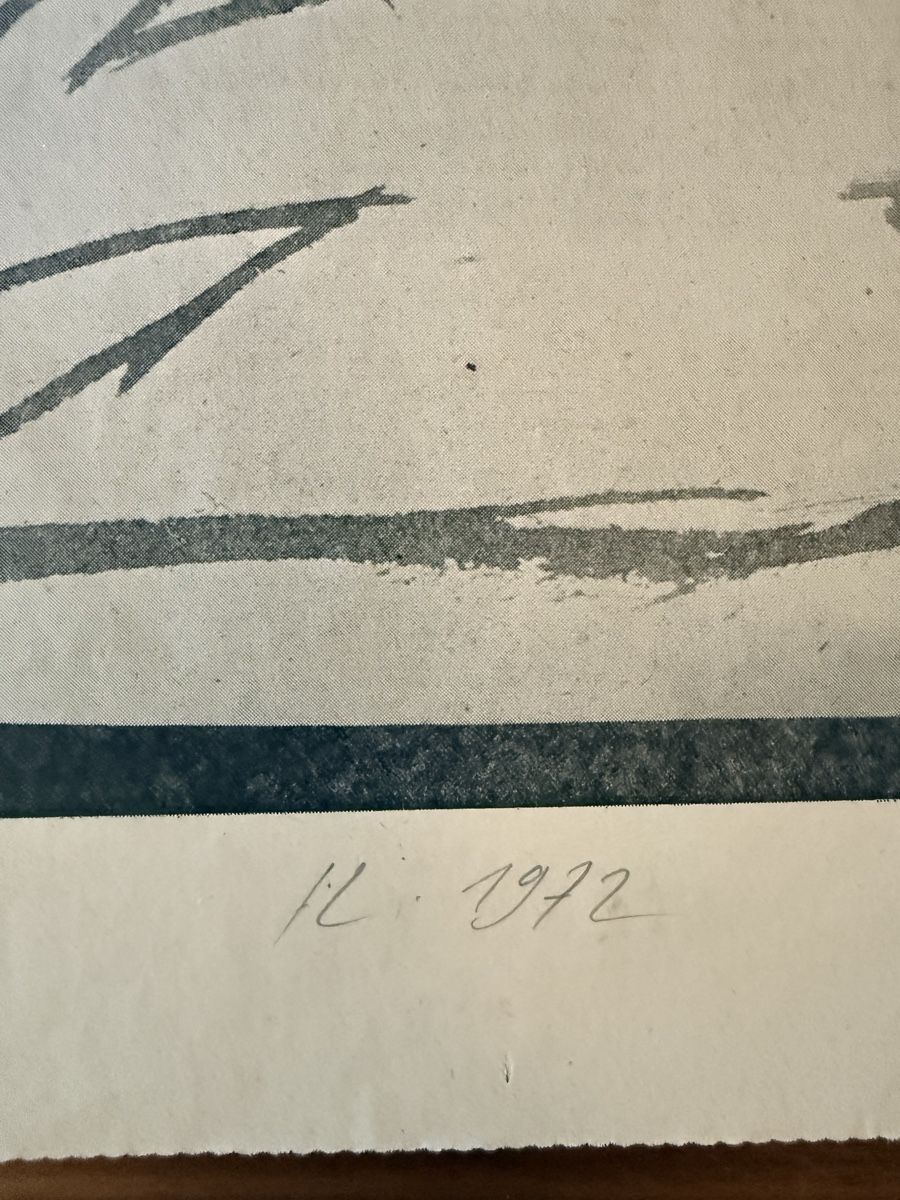 Grafica & Litografie: Franz Eggenschwiler - Offsetdruck handsigniert – Usato da Solothurn venduto da NUVICO 3