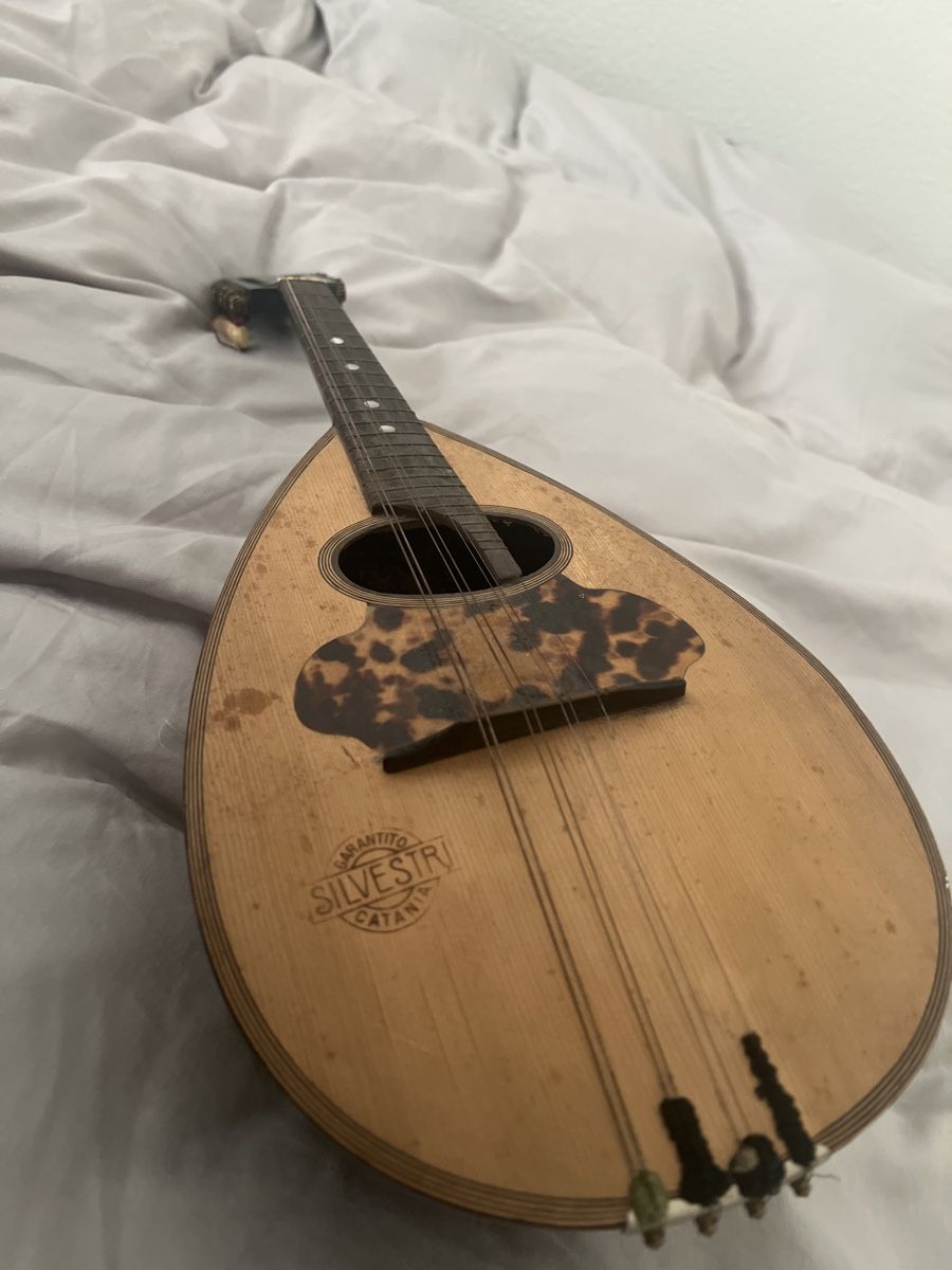 Strumenti musicali: Mandoline Garantito Silvestri Catania – Usato da Brüttisellen venduto da MisterMinister25 5