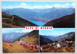 Alpe di Neggia (1400 m s.m.)
