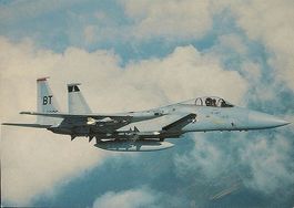 Militär Flugzeug McDonnell Douglas F-15