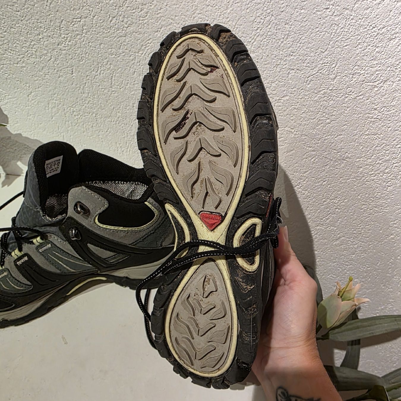 Salomon Scarpe da uomo: Salomon Wanderschuh Gore Tex 38 2/3 – Nuovo (secondo la descrizione) da Kirchberg BE venduto da Baba845 3