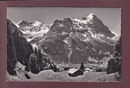 GRINDELWALD - Fiescherhörner