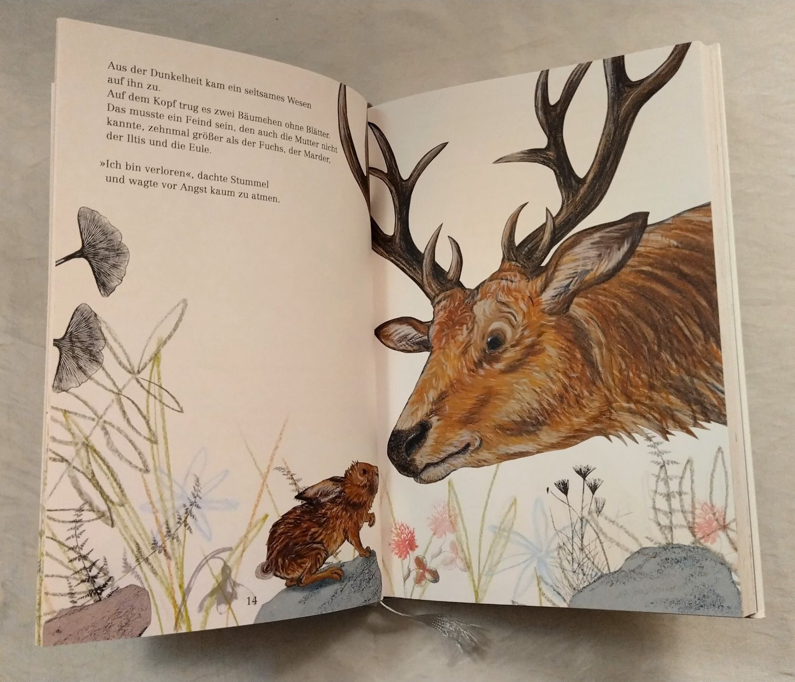 Bücher: Hase Stummel, ein Hasenkind wird gross / Kathrin Schärer – Gebraucht aus Bellach von JingleJerry 7