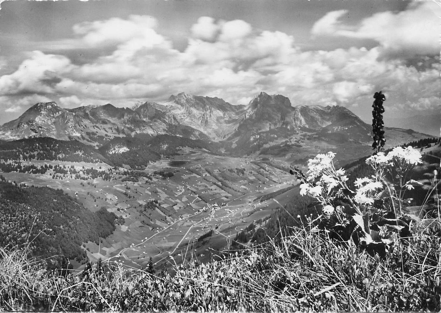 Cartes postales: Selun alp Santis G – D'occasion à Biasca par Blenio71