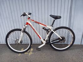 Vendo rampichino