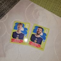 Panini