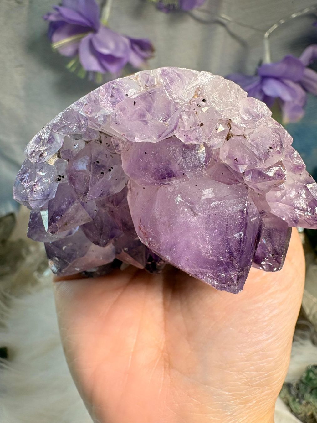 Minerali & Pietre curative: Amethyst Geode – Nuovo (secondo la descrizione) da Neuheim venduto da m.hald 4