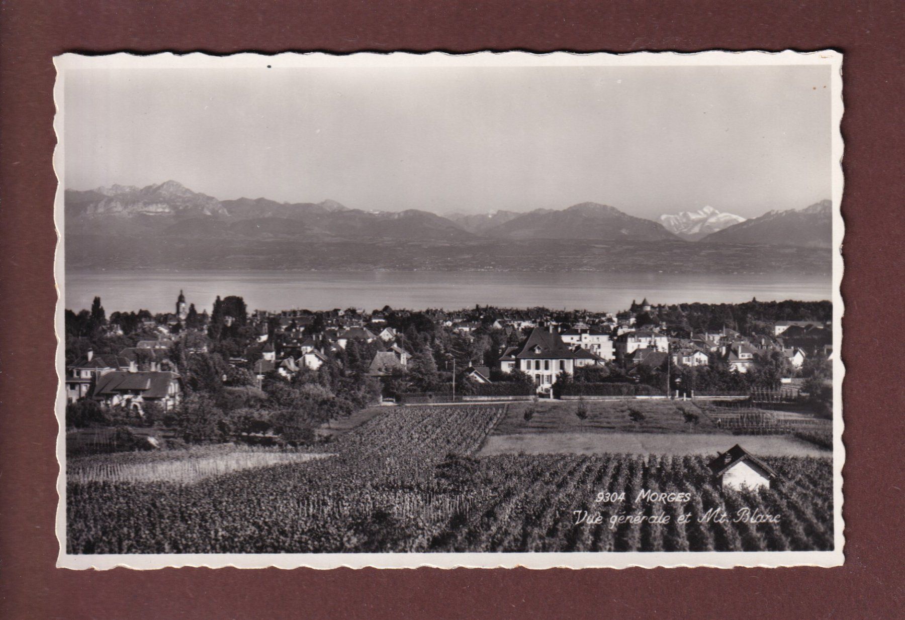 Cartoline postali: MORGES et le Mont Blanc - 1952 – Usato da Pully venduto da nicecards