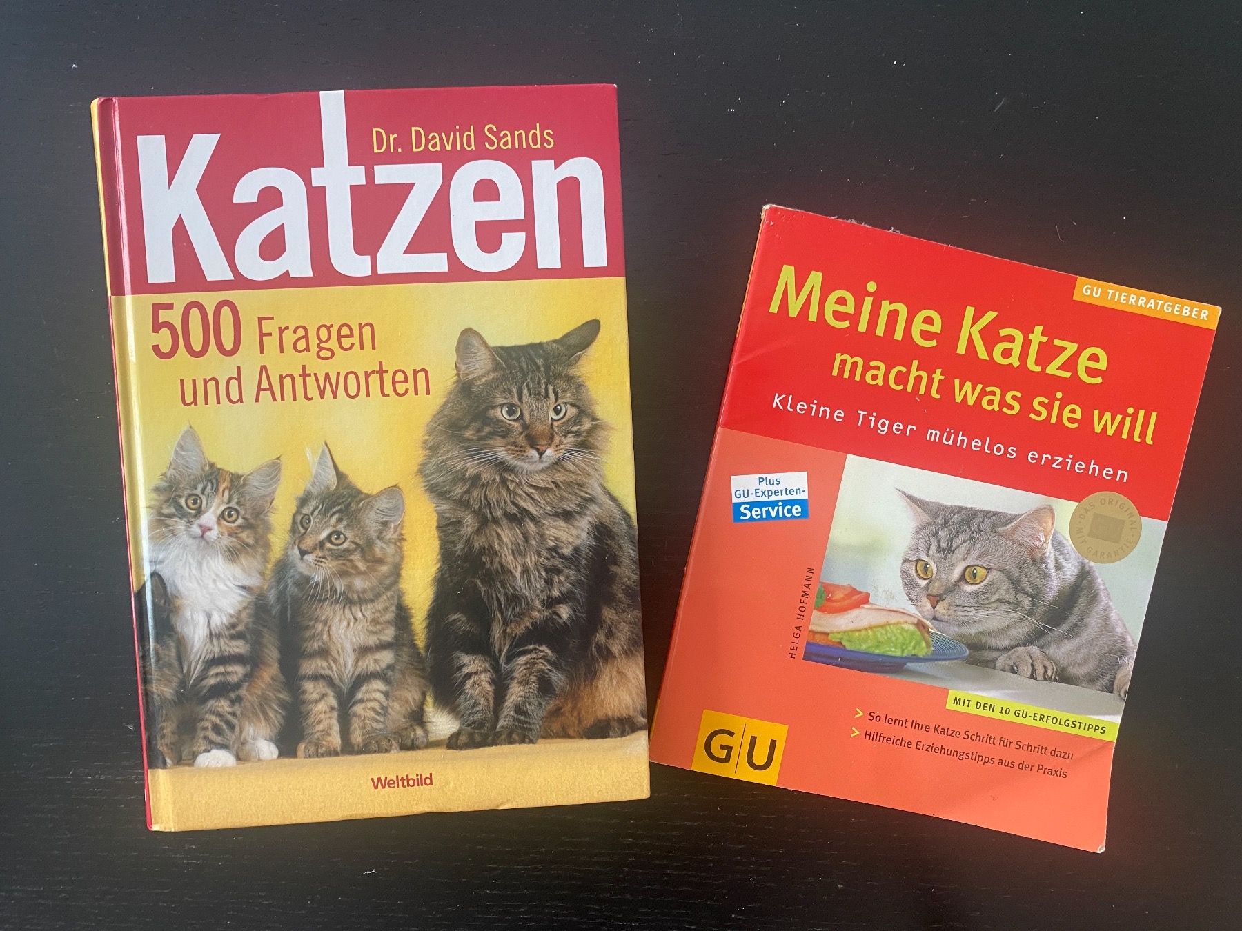 Libri: Katzen Bücher – Usato da Winkel venduto da gatta