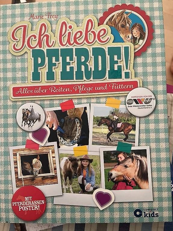 Libri: Reiten lernen – Usato da Brunnen venduto da ker_2kzc 3