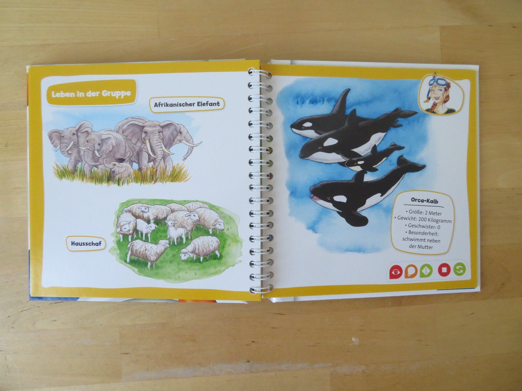 Libri: TIP TOI Pocket "Tierkinder" – Usato da Zürich venduto da piroma 3