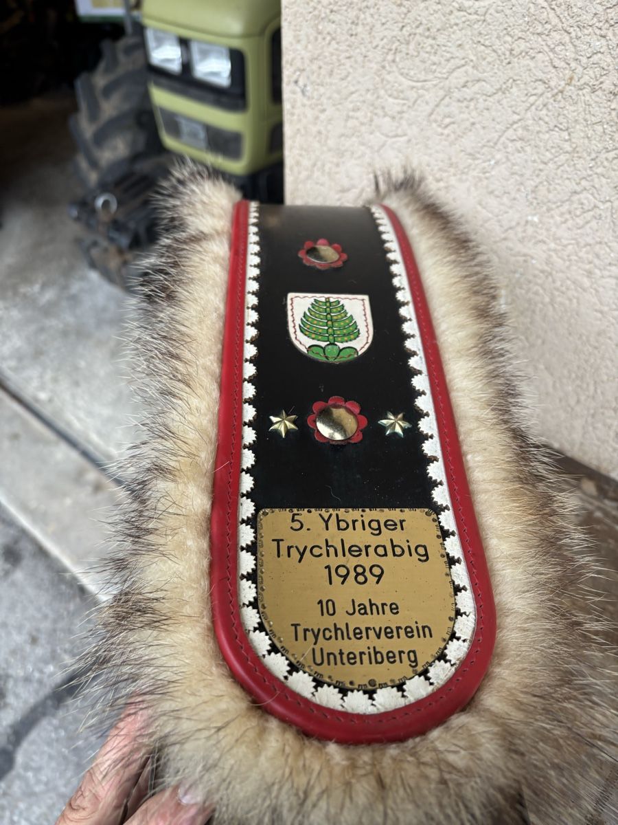 Glocken & Treicheln: ASM Treichel NR 6 – Gebraucht aus Schangnau von Roseggli82 7