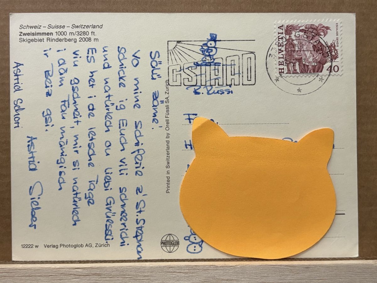 Cartoline postali: AK von Zweisimmen Rienderberg – Usato da Rümlang venduto da Kartenpost1 1