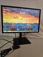 Samsung 24" Business Monitor – 1920x1200, PLS, Pivot & Speak