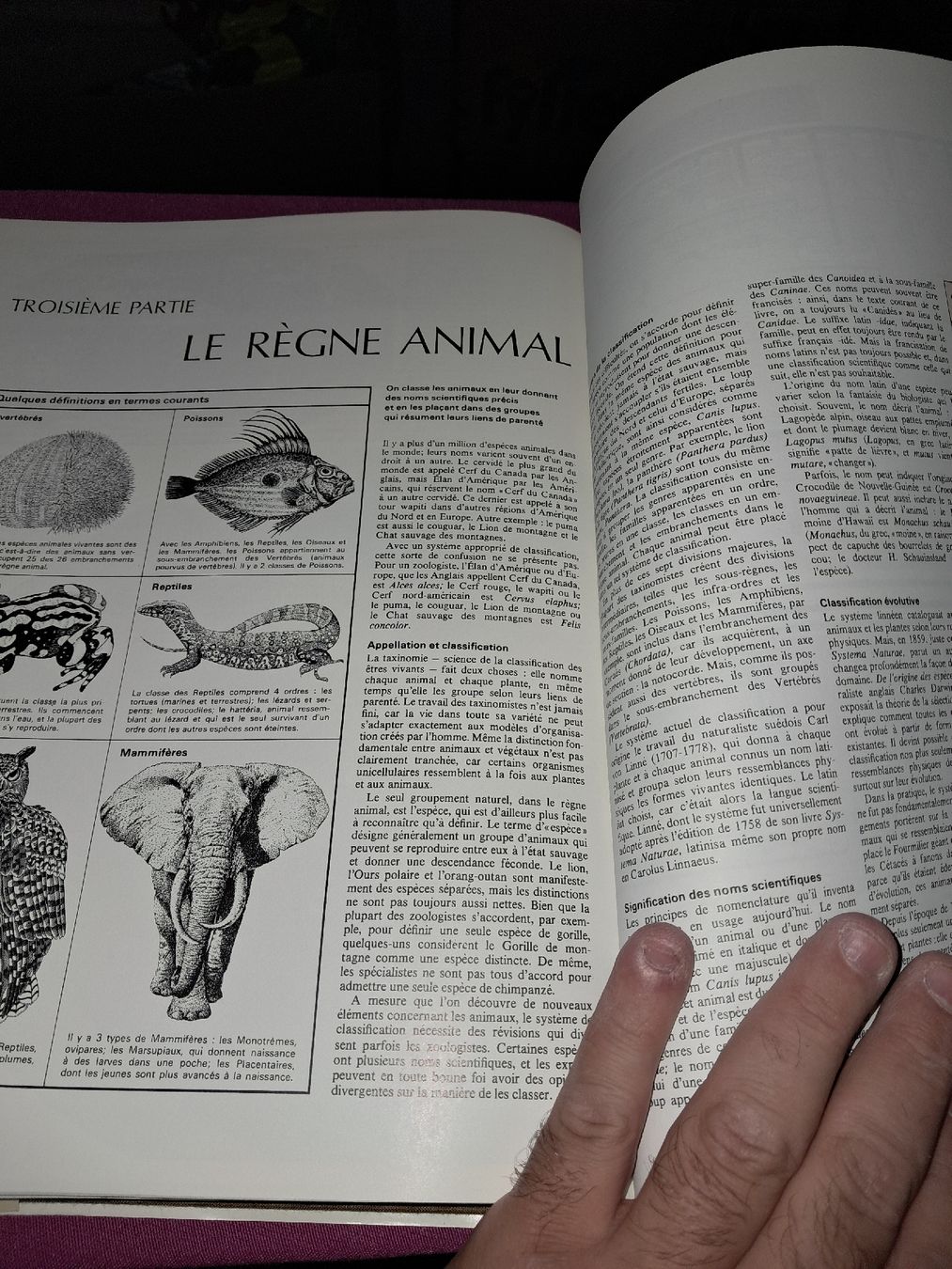 Libri: Le monde etrange et fascinant des animaux – Usato da Le locle venduto da juliensaran 1