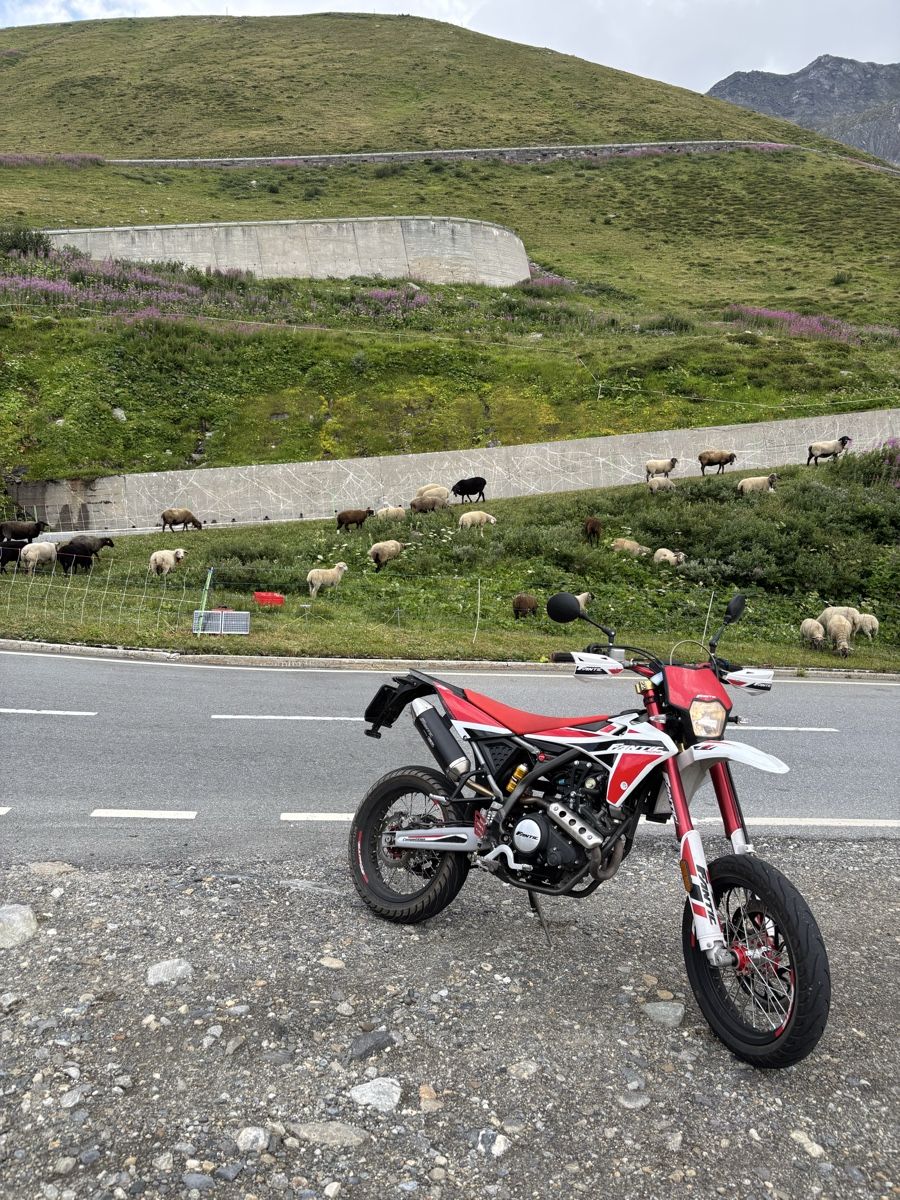 Fantic Route: Fantic zuverkaufen – D'occasion à Gunzwil par sil_g7xg