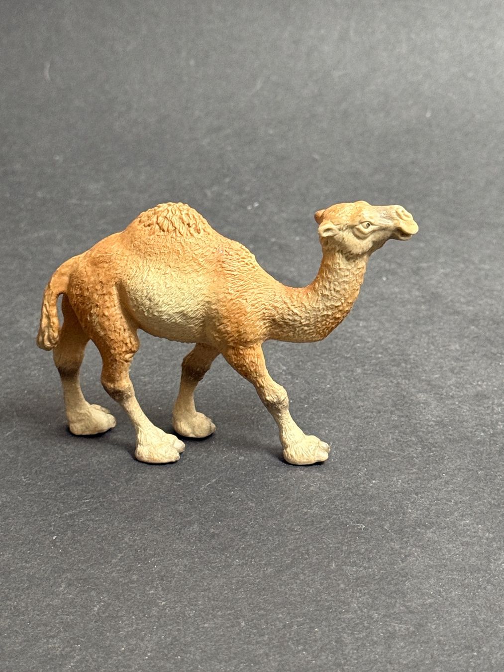 Schleich Statuette: Schleich Dromedar Stute Kamel – Usato da Ennetbaden venduto da mapa05 1