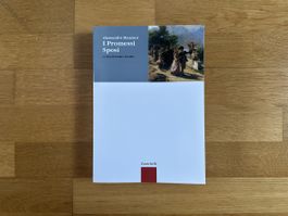 Letteratura italiana: ALESSANDRO MANZONI